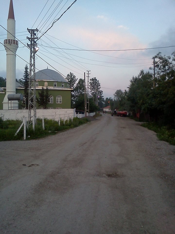 BafraAlaçam Köyü Resimleri 1