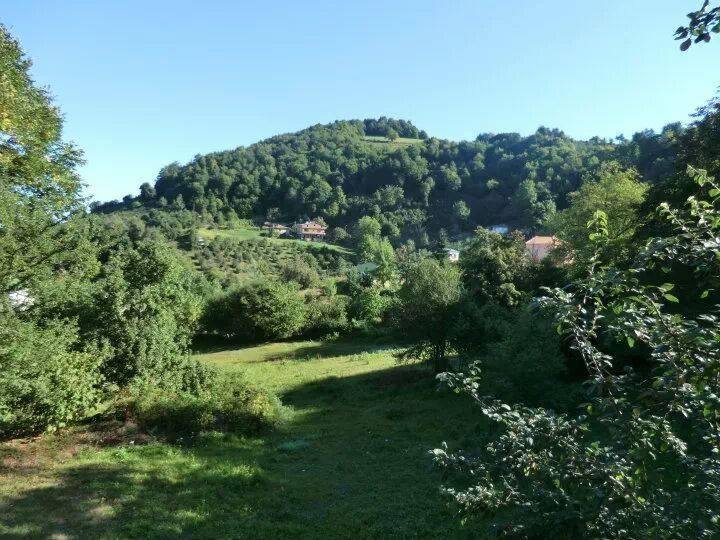 BafraAlaçam Köyü Resimleri 6