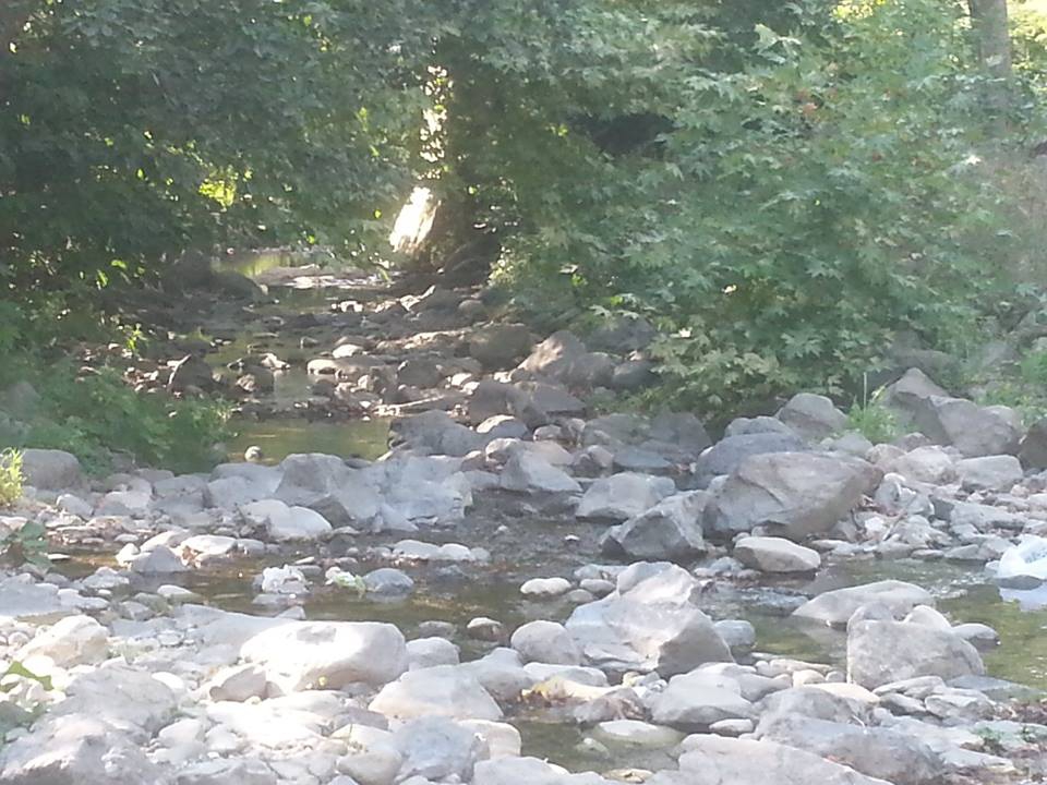 BafraAlaçam Köyü Resimleri 7