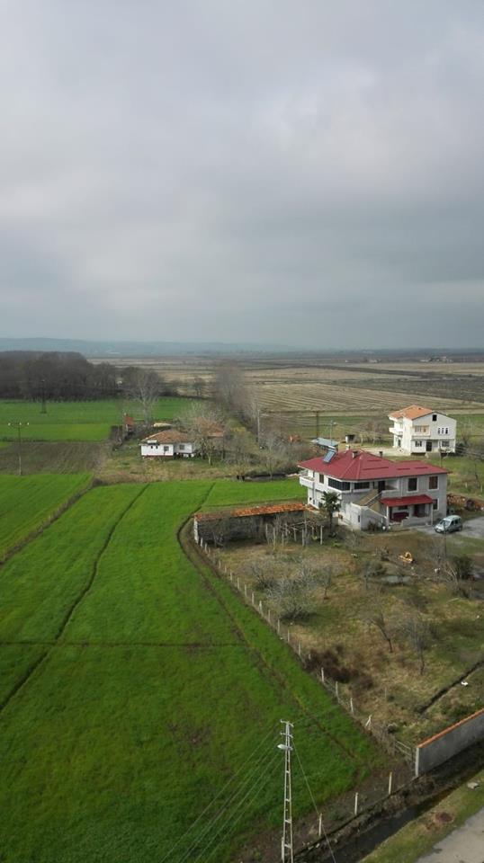 Bafra Altınay Köyü Resimleri 2