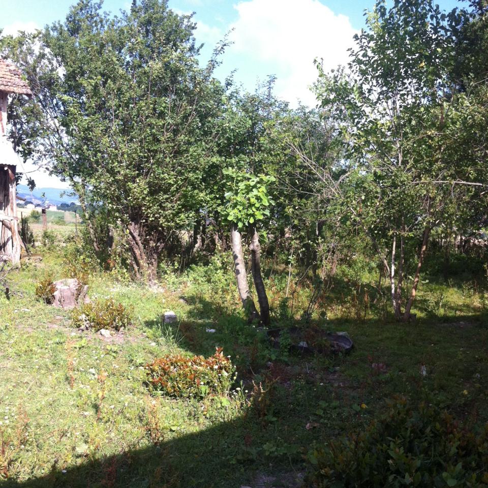 Bafra Azay Köyü Resimleri 6