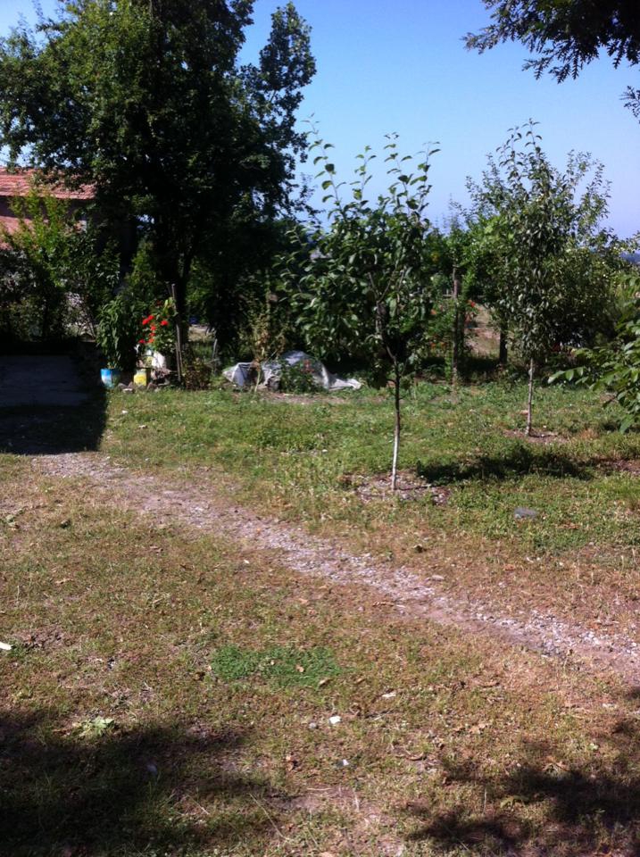 Bafra Azay Köyü Resimleri 7