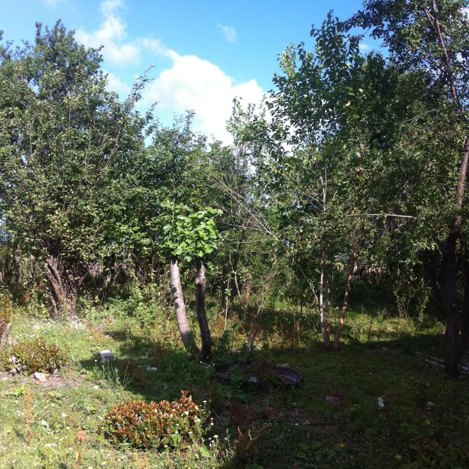 Bafra Azay Köyü Resimleri 9