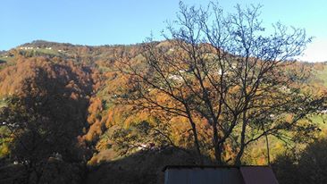 Tonya Kalemli Köyü Resimleri 12