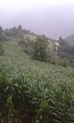 Tonya Kalemli Köyü Resimleri 14