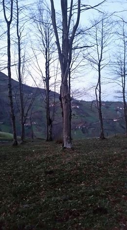 Tonya Kalemli Köyü Resimleri 15