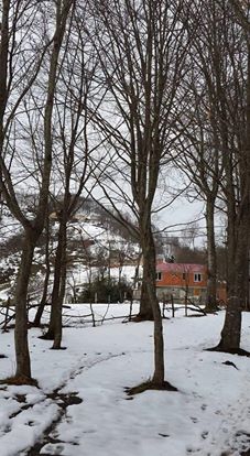 Tonya Kalemli Köyü Resimleri 16