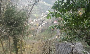 Tonya Kalemli Köyü Resimleri 18