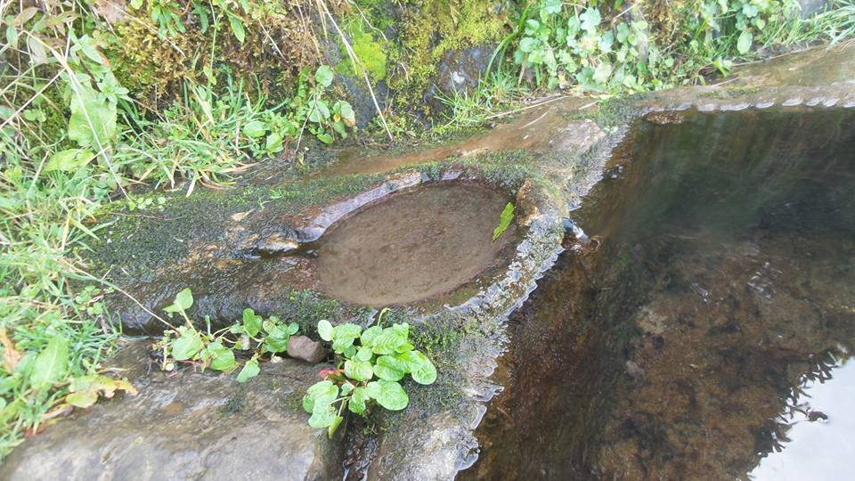 Tonya Kalemli Köyü Resimleri 28
