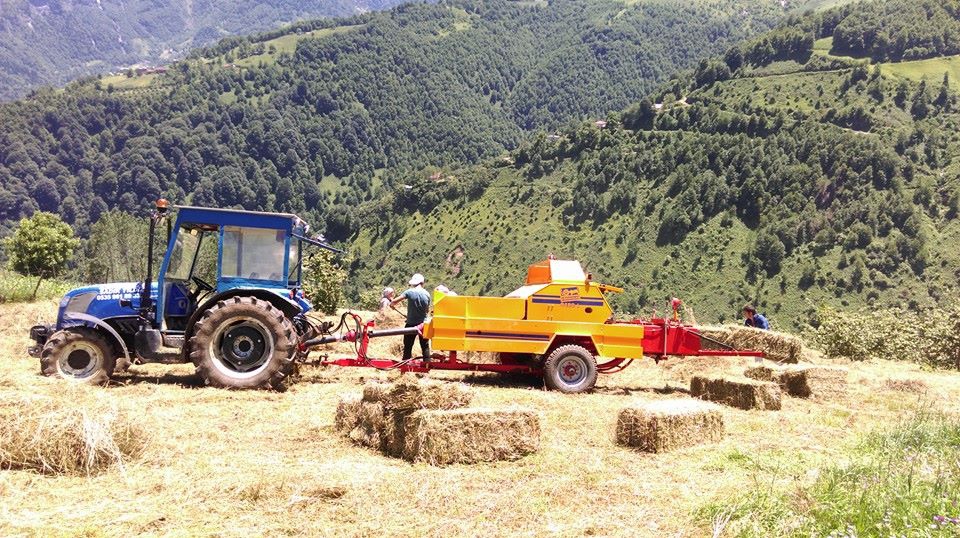 Tonya Kalemli Köyü Resimleri 32