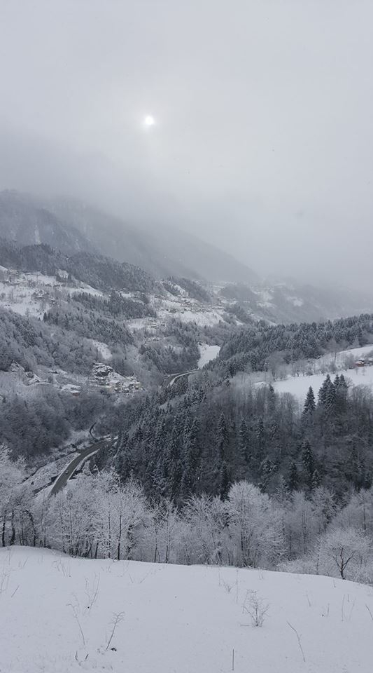 Tonya Kalemli Köyü Resimleri 5