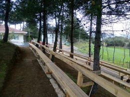 Bafra Başaran Köyü Resimleri 2