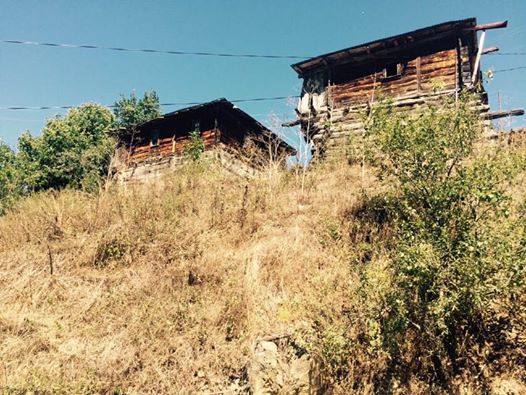 Bafra Başkaya Köyü Resimleri 2