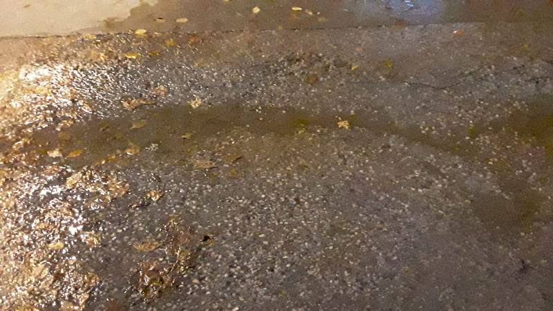 Bafra Boğazkaya Köyü Resimleri 7