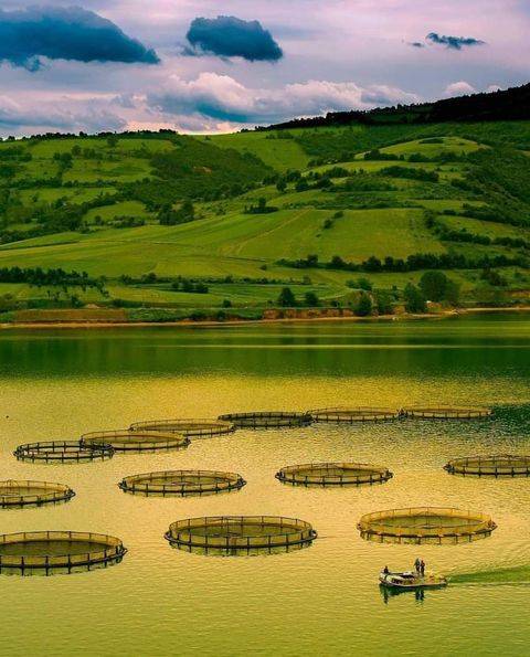 Bafra Boğazkaya Köyü Resimleri 8