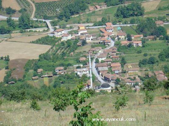 Bafra Çamaltı Köyü Resimleri 1