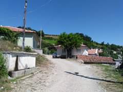 Bafra Çamaltı Köyü Resimleri 4