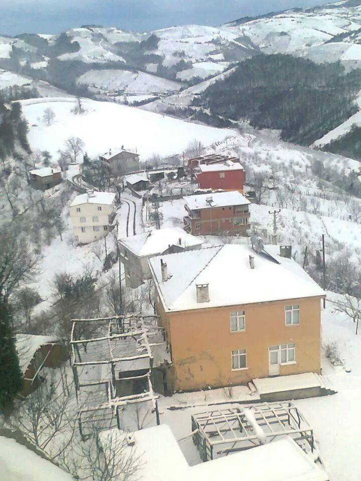 Bafra Çamaltı Köyü Resimleri 5