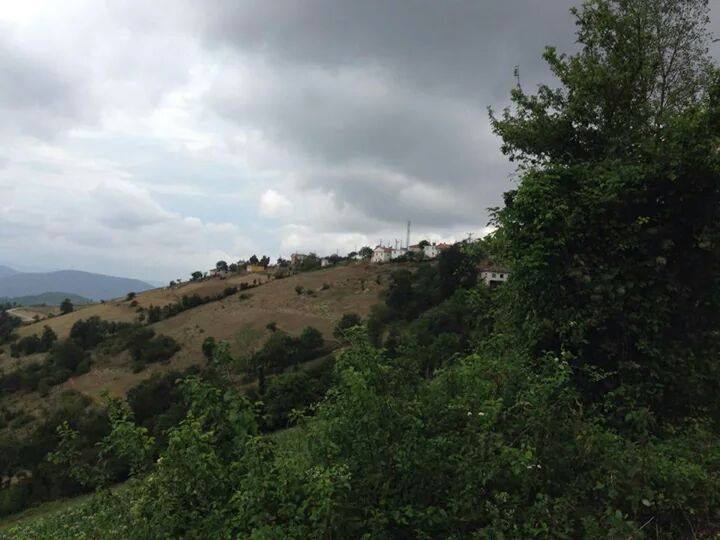 Bafra Çamaltı Köyü Resimleri 6