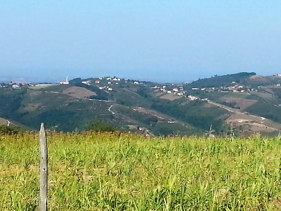 Bafra Çamaltı Köyü Resimleri 7