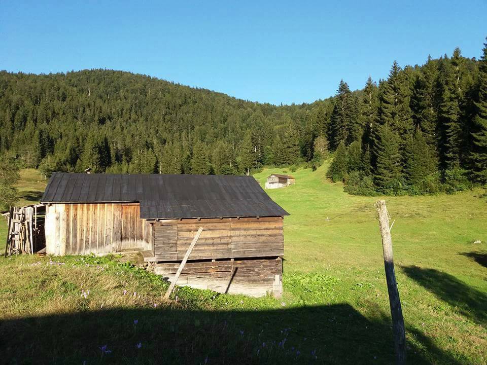 Tonya Kalınçam Köyü Resimleri 15