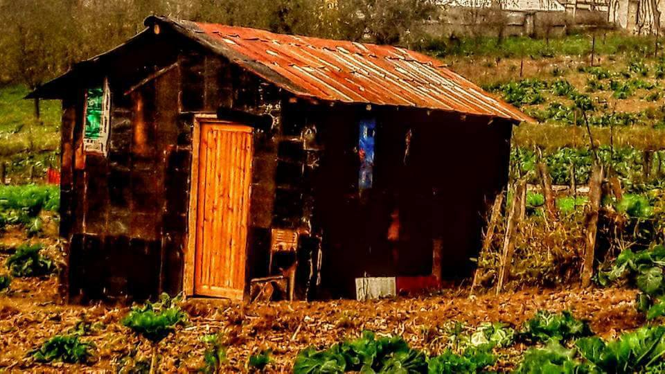 Tonya Kalınçam Köyü Resimleri 17