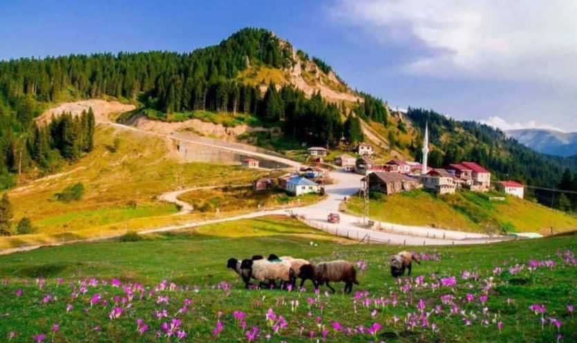 Tonya Kalınçam Köyü Resimleri 21