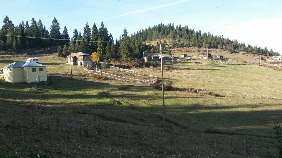 Tonya Kalınçam Köyü Resimleri 22