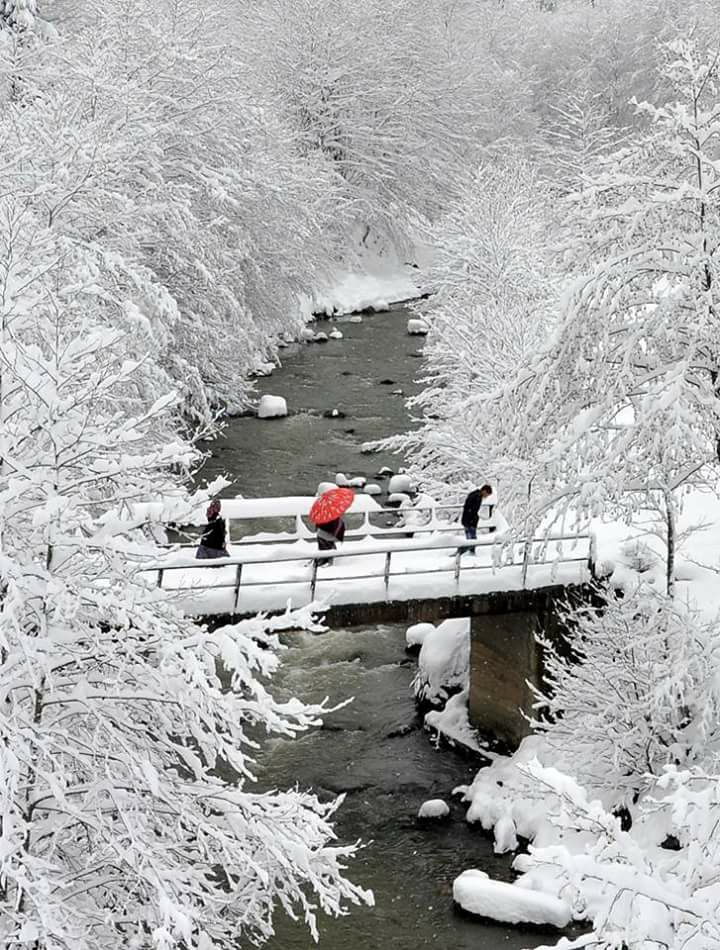 Tonya Kalınçam Köyü Resimleri 23