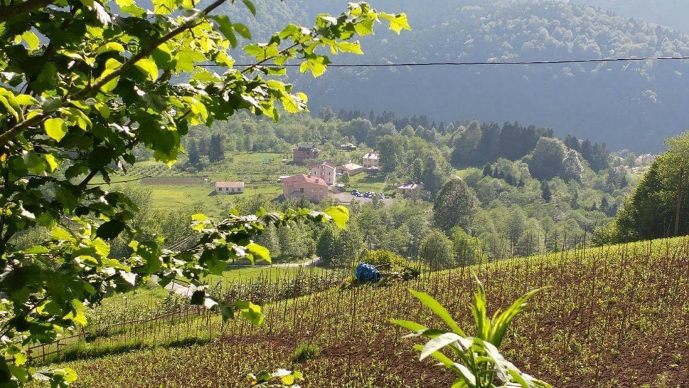 Tonya Kalınçam Köyü Resimleri 32