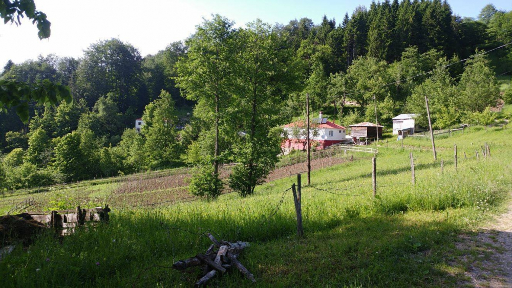 Tonya Kalınçam Köyü Resimleri 34