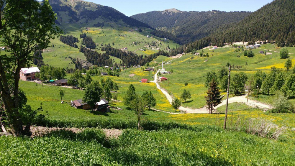 Tonya Kalınçam Köyü Resimleri 36