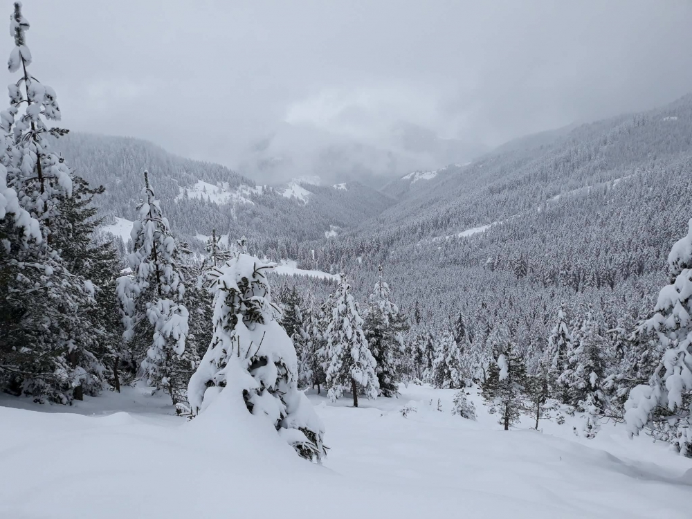 Tonya Kalınçam Köyü Resimleri 39