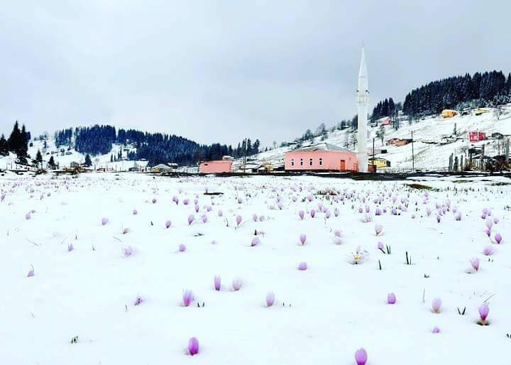 Tonya Kalınçam Köyü Resimleri 7