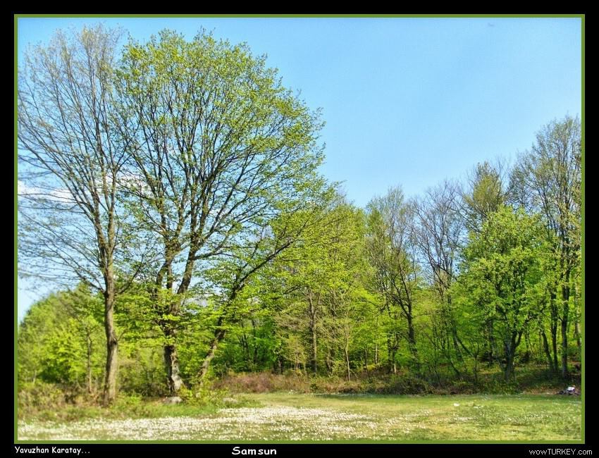 Bafra Çetinkaya Köyü Resimleri 2