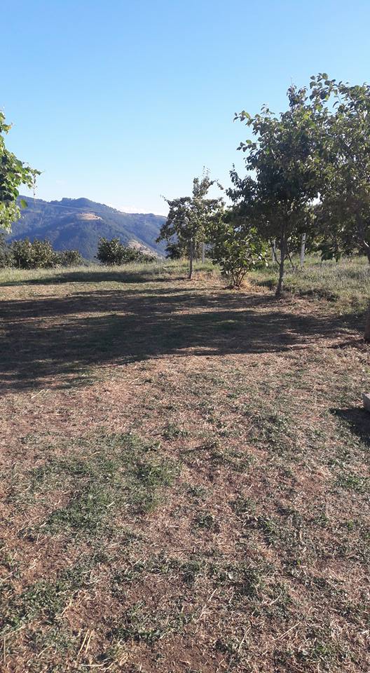 Bafra Darboğaz Köyü Resimleri 4