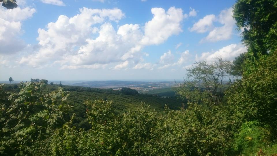 Bafra Darboğaz Köyü Resimleri 5