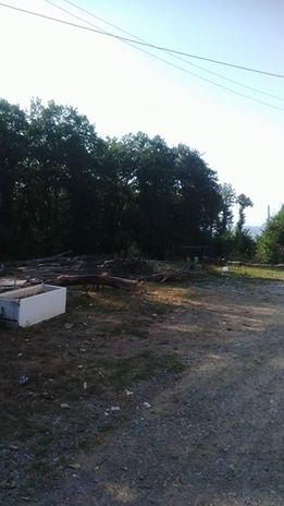 Bafra Darboğaz Köyü Resimleri 8