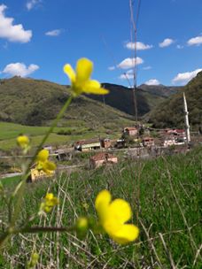 Bafra Dereler Köyü Resimleri 4