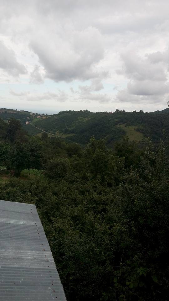 Bafra Dikencik Köyü Resimleri 2