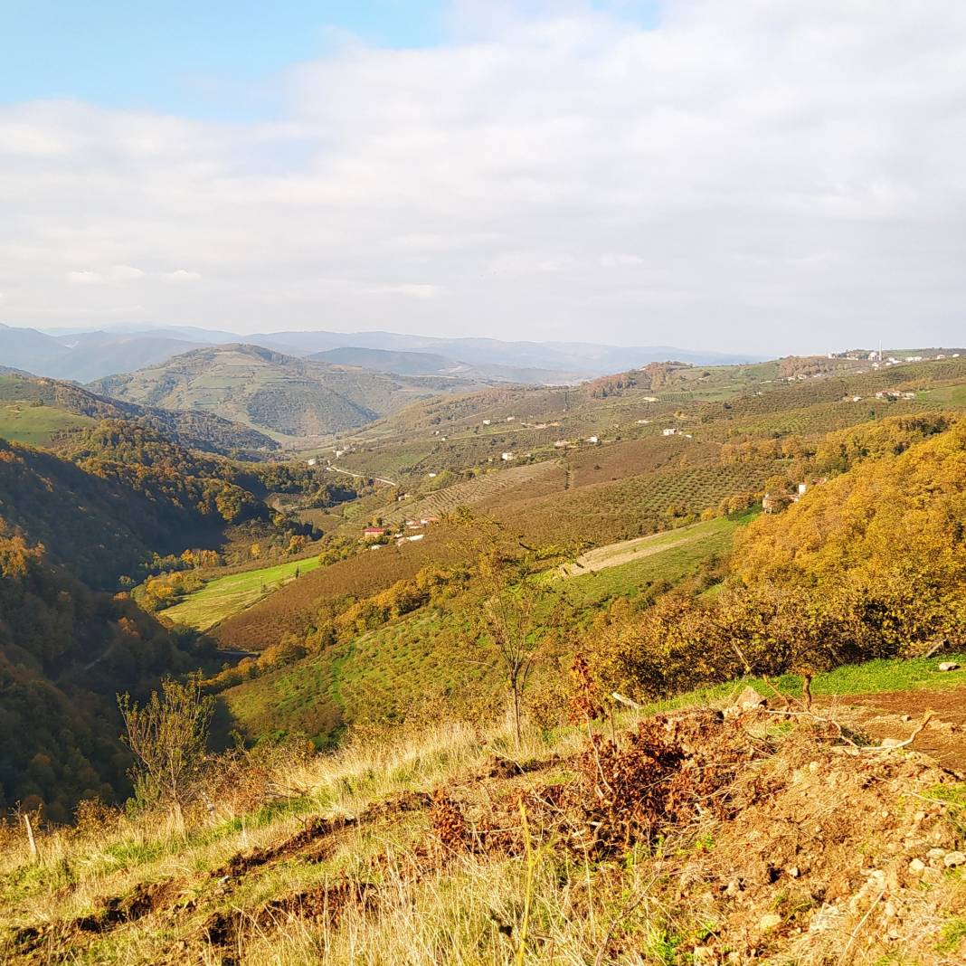 Bafra Dikencik Köyü Resimleri 9