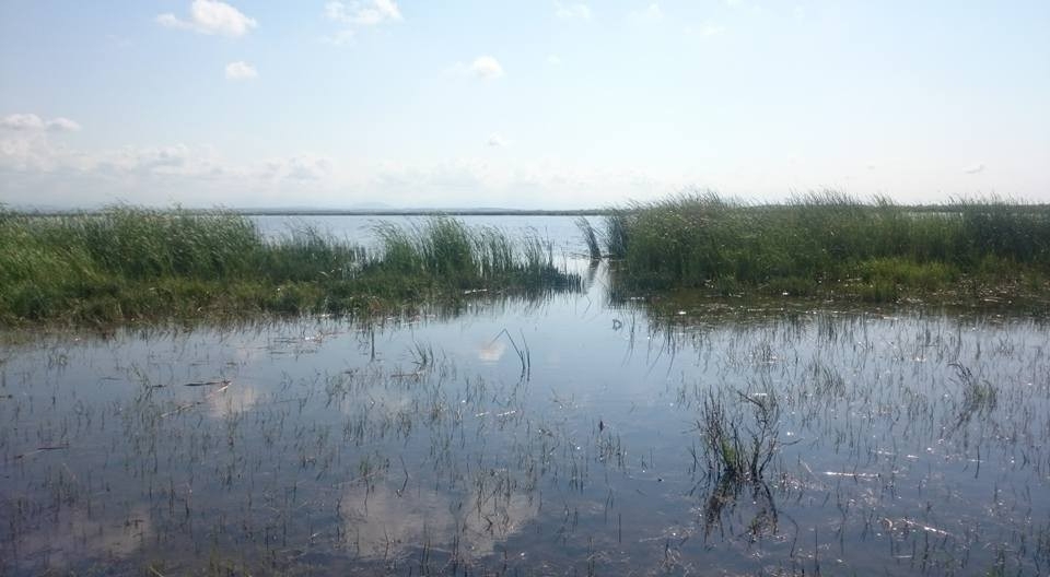 Bafra Doğanca Köyü Resimleri 1