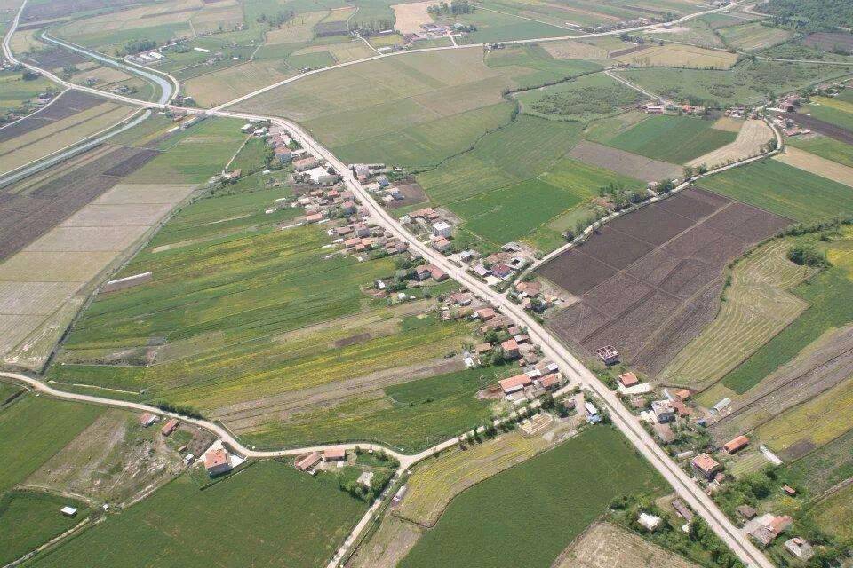 Bafra Doğanca Köyü Resimleri 3