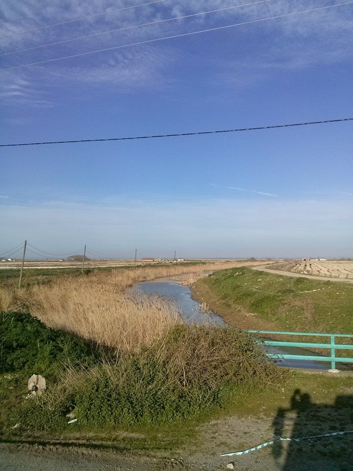 Bafra Doğanca Köyü Resimleri 4