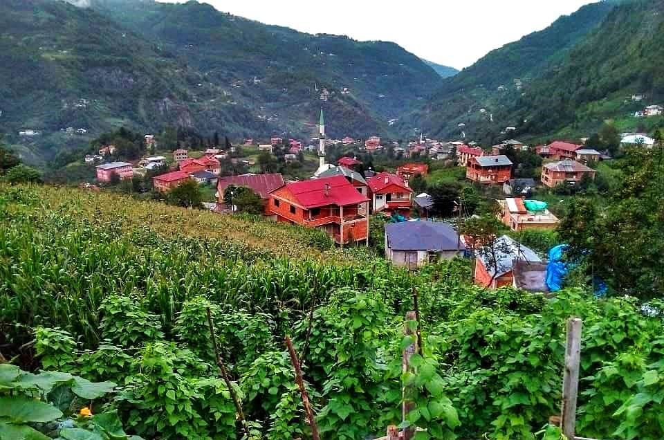 Tonya Karaağaçlı Köyü Resimleri 1