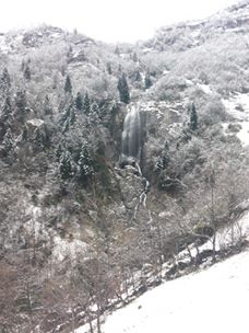 Tonya Karaağaçlı Köyü Resimleri 13