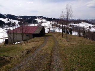 Tonya Karaağaçlı Köyü Resimleri 15