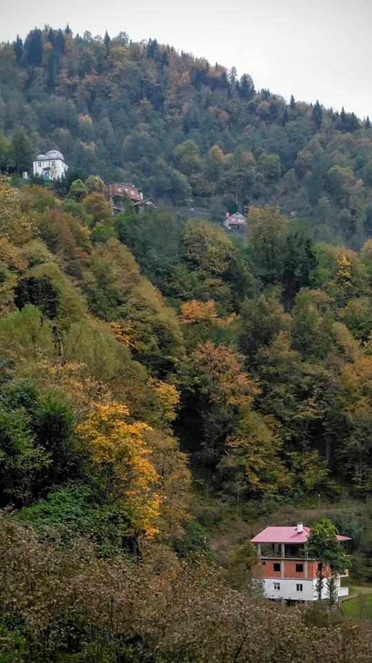 Tonya Karaağaçlı Köyü Resimleri 19