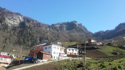 Tonya Karaağaçlı Köyü Resimleri 2