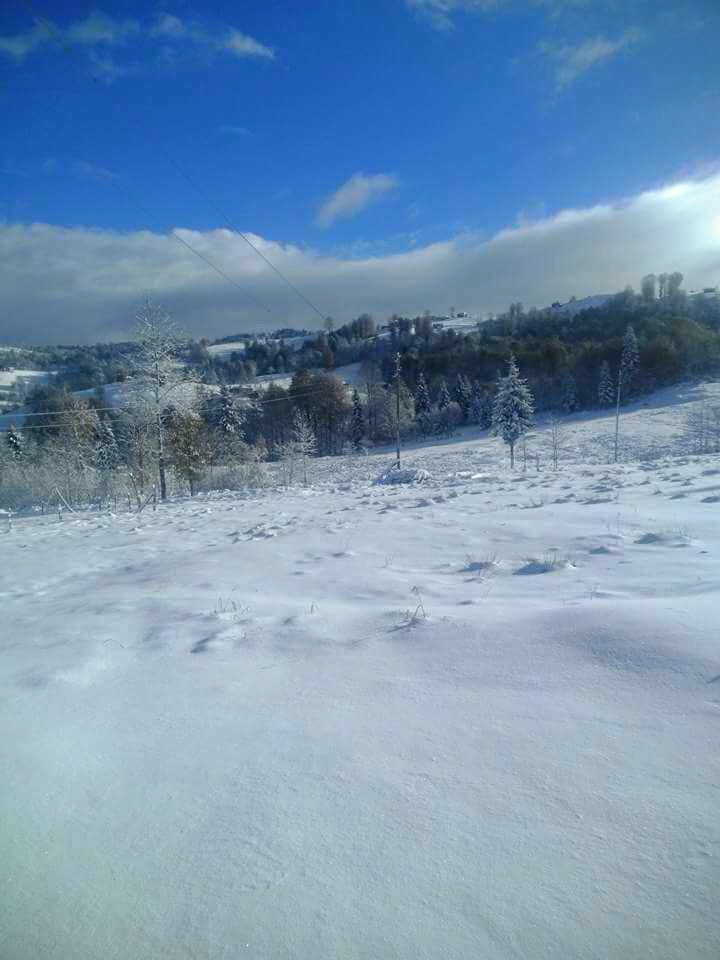 Tonya Karaağaçlı Köyü Resimleri 20
